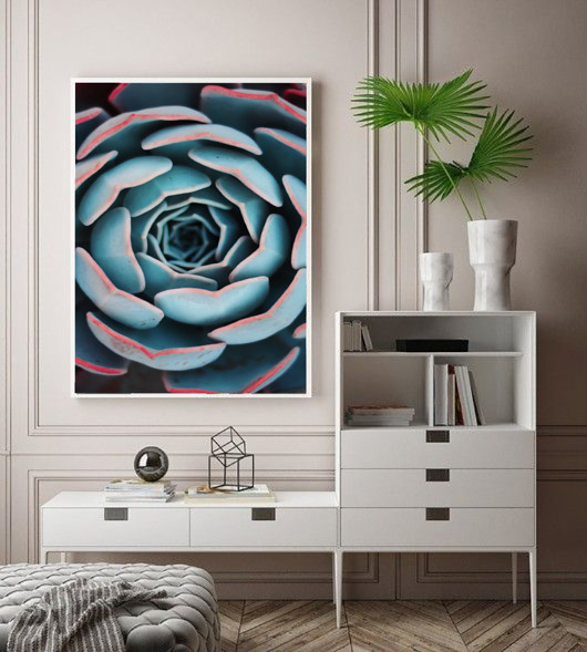 PLAKAT z rośliną  botaniczny  sukulent black dot studio
