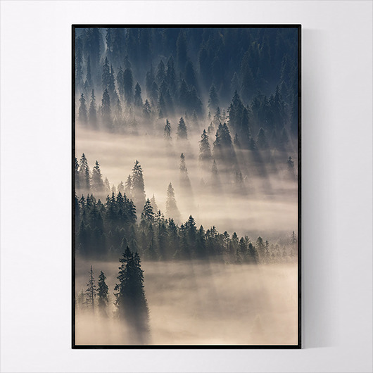 Plakat FOREST MUKKO