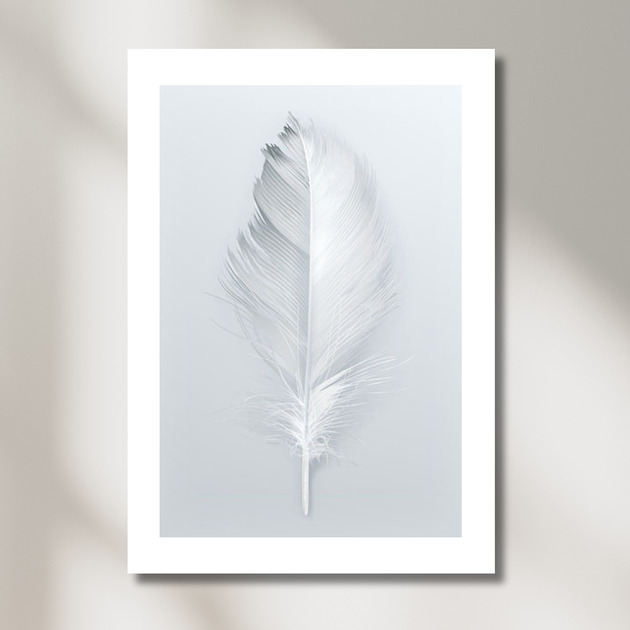 plakaty Plakat Feather