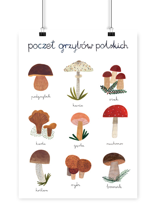 plakaty Plakat Poczet Grzybów Polskich