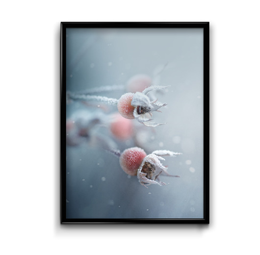 plakaty Plakat Przyroda Zimą No.1