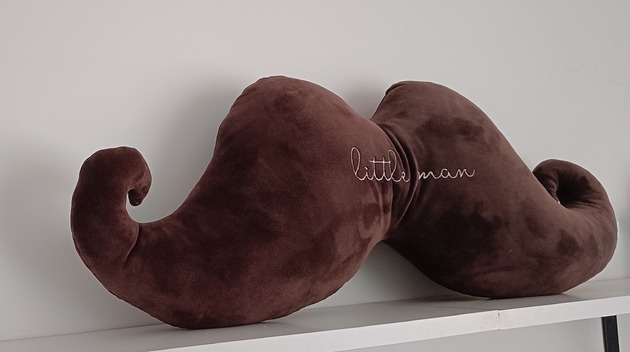 poduszki z napisami Poduszka personalizowana - wąsy (kolory, tkaniny)