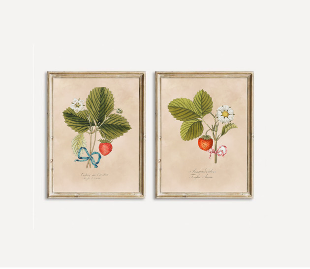 grafiki i ilustracje DWA PLAKATY truskawki galeria botaniczne owoce