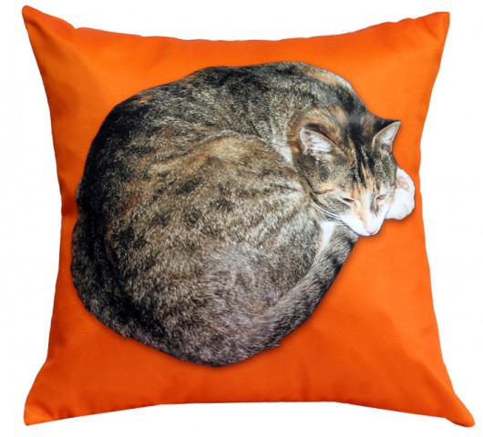 promocja! kot dla alergika 36cm :) poduszka AT design