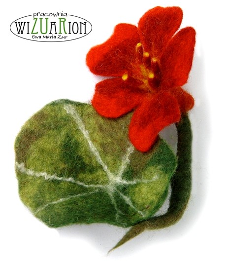 Nasturcja skalna WIZUARION