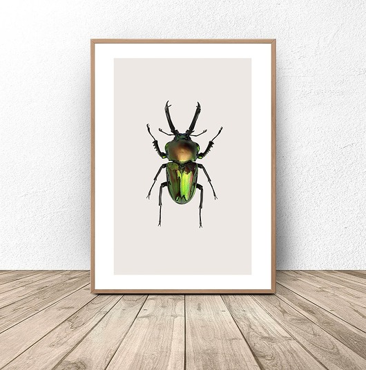 plakaty Plakat na ścianę z zielonym żukiem