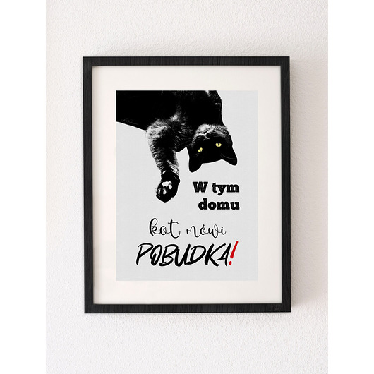 plakaty KOT (możliwa personalizacja tekstu), plakat sygnowany