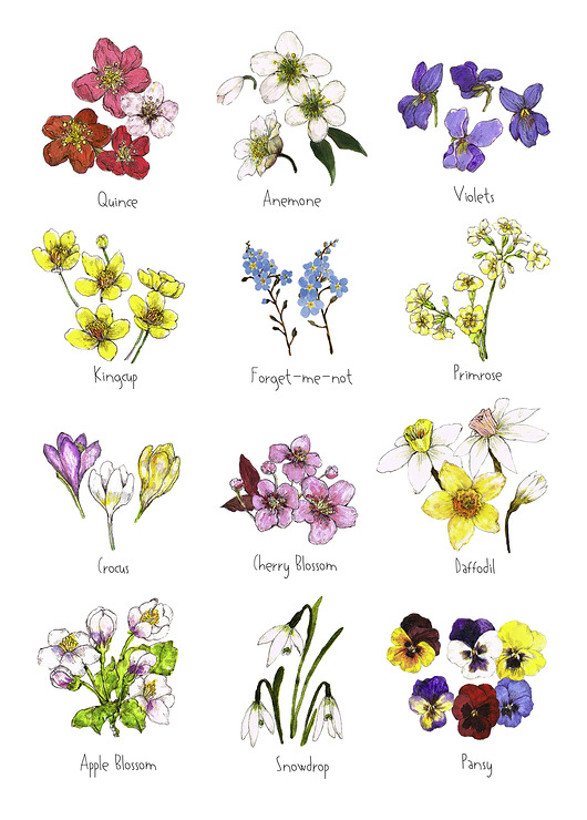 grafiki i ilustracje Wiosenne kwiaty - grafika na ścianę- ilustracja- kwiaty