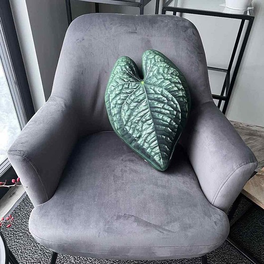 poduszki z grafiką Poduszka Liść Anthurium Luxurians
