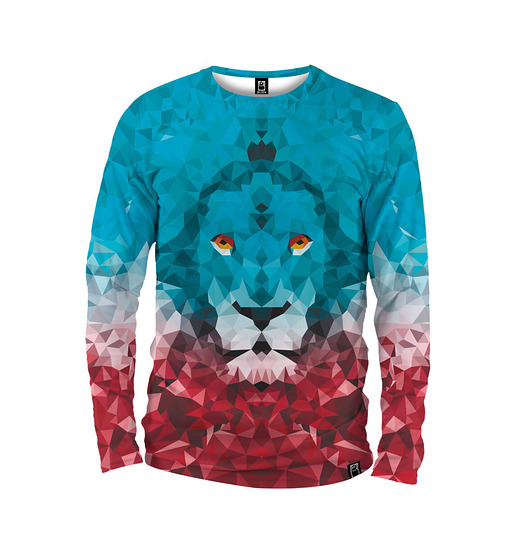 bluzy męskie Koszulka Longsleeve Męska DR.CROW Lion Triangle