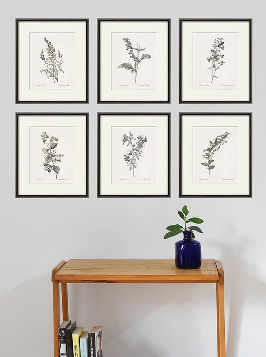 grafiki i ilustracje Zestaw Grafik Botanicznych Vintage