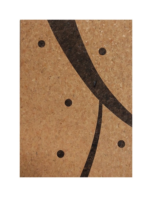 notatniki i albumy Notes Korek 210x297 ekru 280 stron z gumką