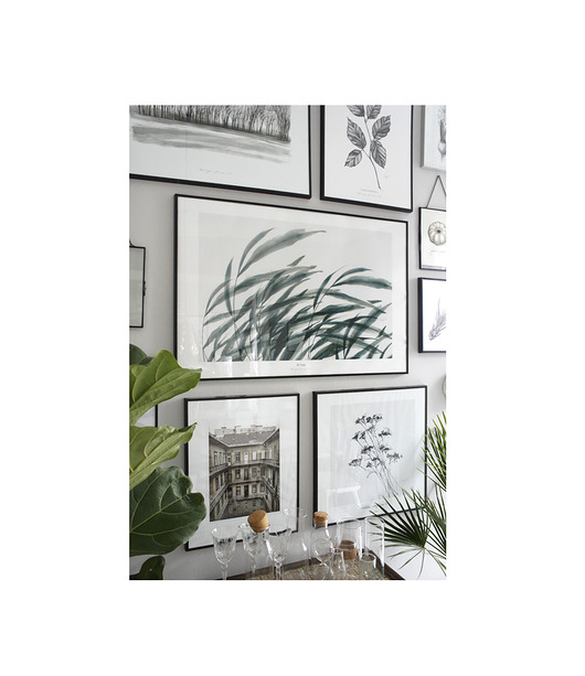 Wind, print 50x70 cm Margo Hupert