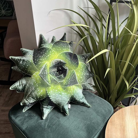 poduszki z grafiką Poduszka Aloes Sukulent