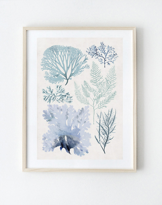 Grafika | A3 Anita Tomala