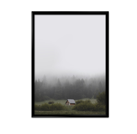 Plakat Domek w lesie  Bury Lis