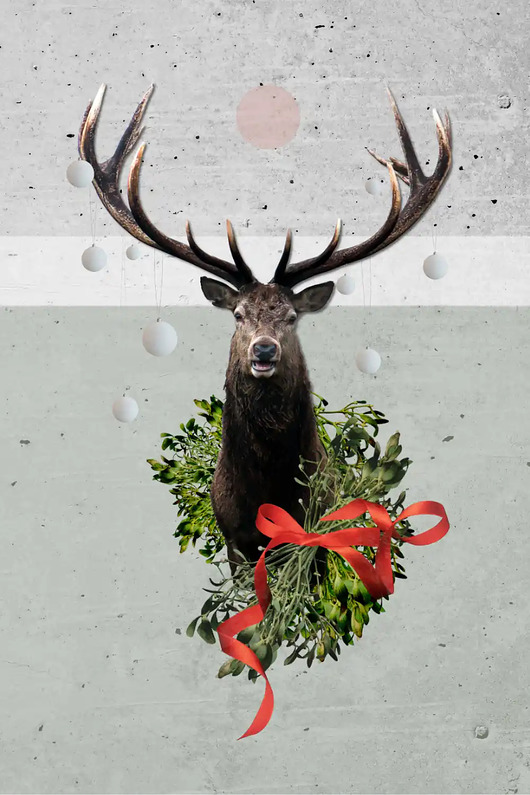 plakaty Plakat Reindeer Day WINTER