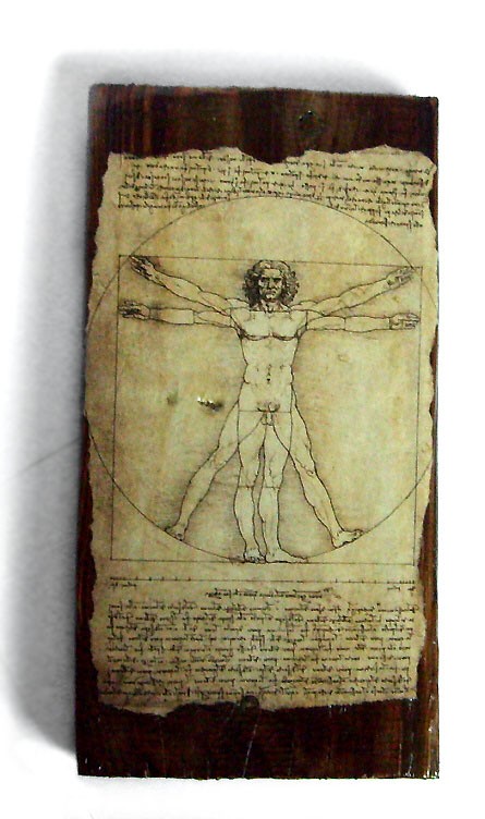 Vitruvian Man MOLLIK