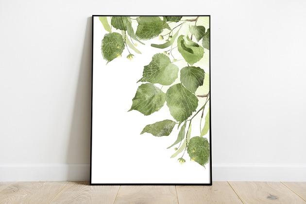 grafiki i ilustracje Lipa