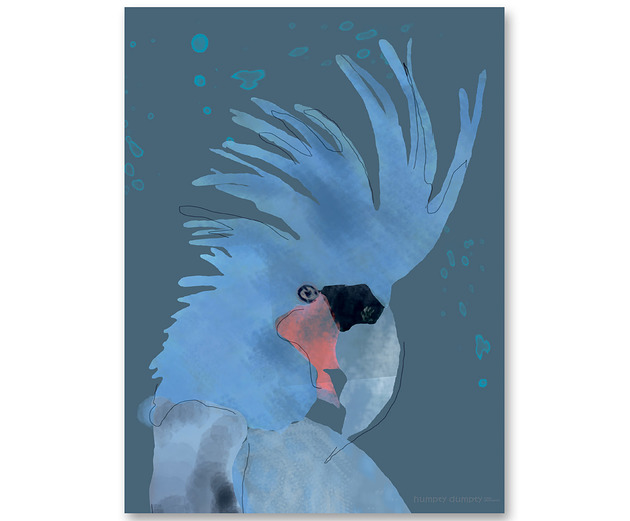 obrazy i plakaty do pokoju dziecięcego Plakat dziecięcy   Blue Parrot