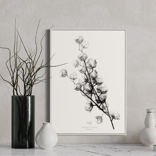 grafiki i ilustracje Cotton flowers