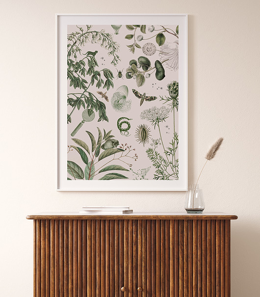 Botanical stories  grafika 50x70 cm Anita Tomala