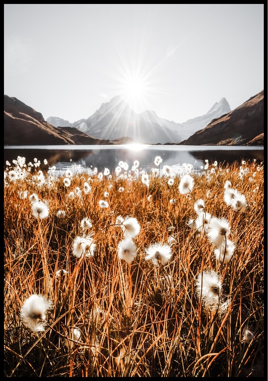 plakaty Plakat "Jezioro w Alpach"