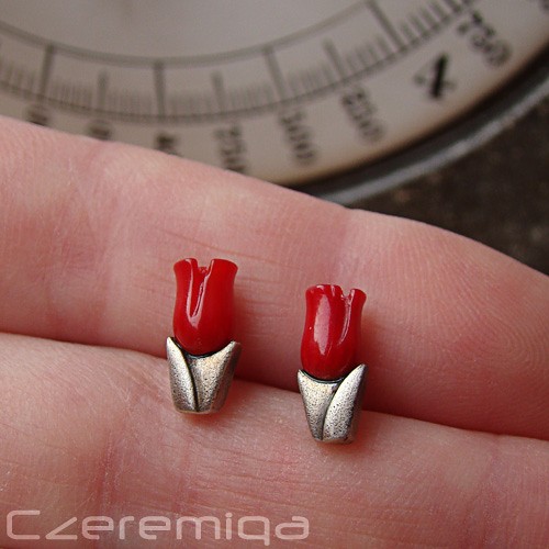 TulipanLOVE Czeremiqa
