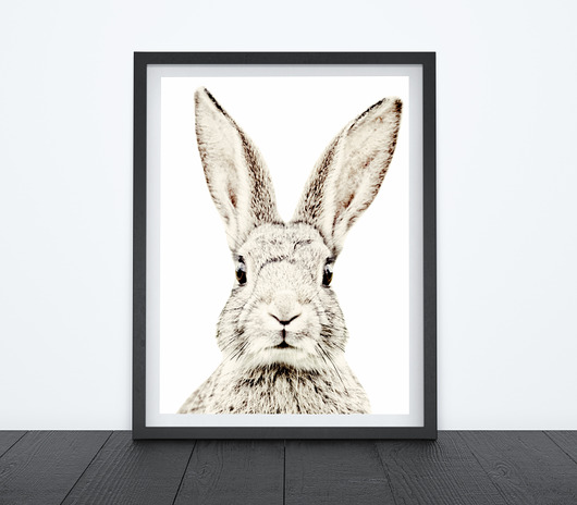 KRÓLIK - OBRAZEK, PLAKAT, DEKORACJA A4 Dekoracjan