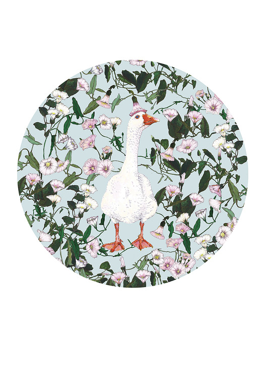 grafiki i ilustracje Gąska- grafika- ilustracja- ptaki- gęś