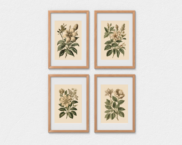 grafiki i ilustracje PLAKATY DO KUCHNI zioła botaniczne vintage