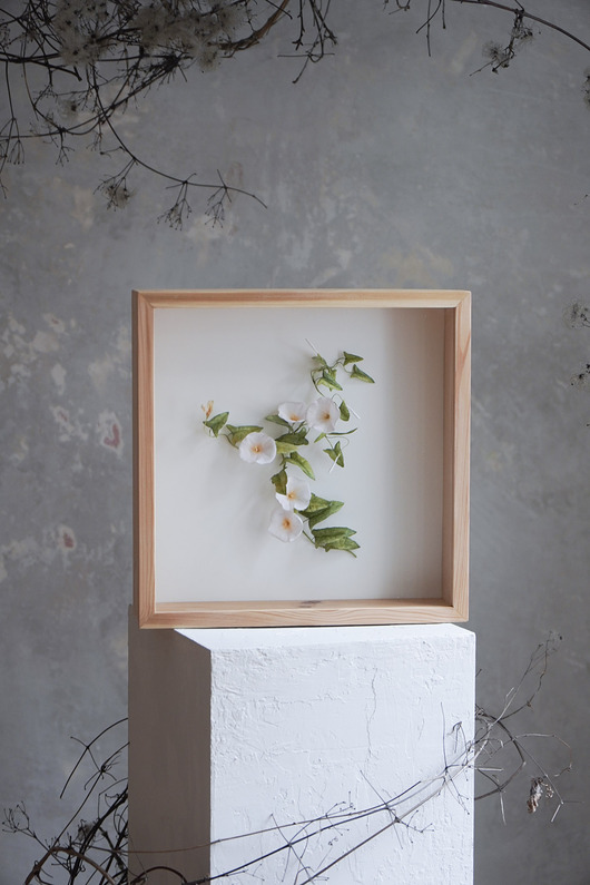 inne Obiekt botaniczny z papieru, roślina - powój mniejszy