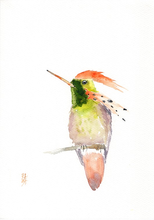 obrazy Oryginalna akwarela. Koliber