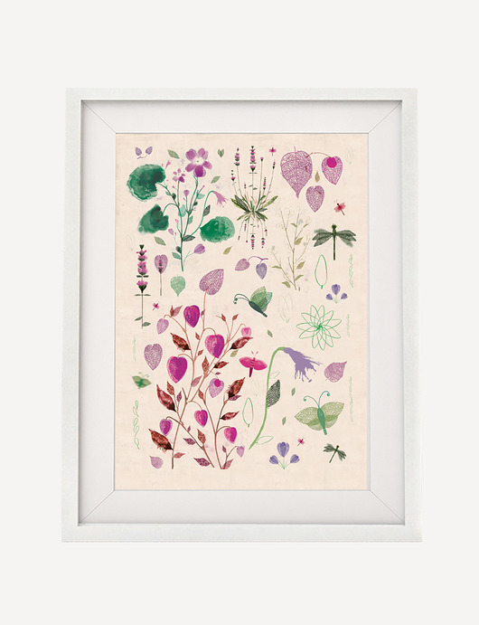 ilustracja botaniczna | A3 Anita Tomala