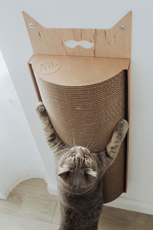 Bellycat Misspaper