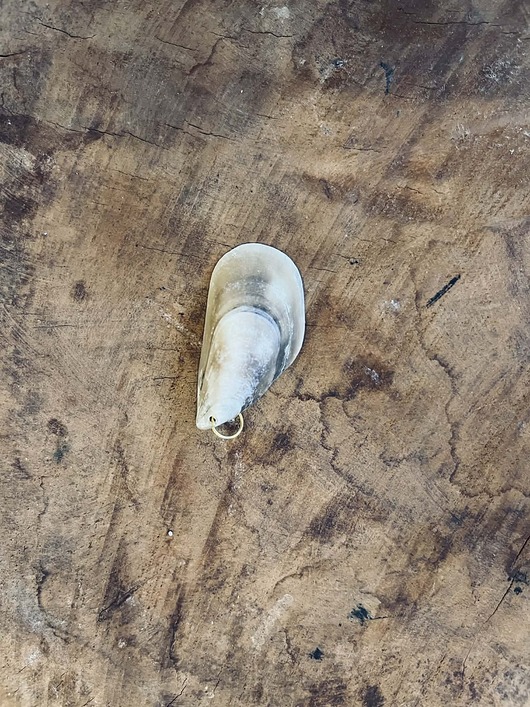 wisiory Wisior Traveller