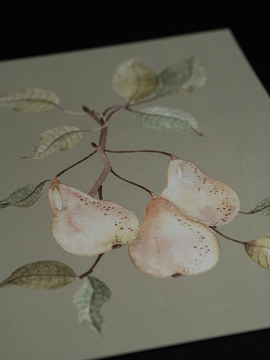 plakaty Plakat Gruszki na gałązce A4