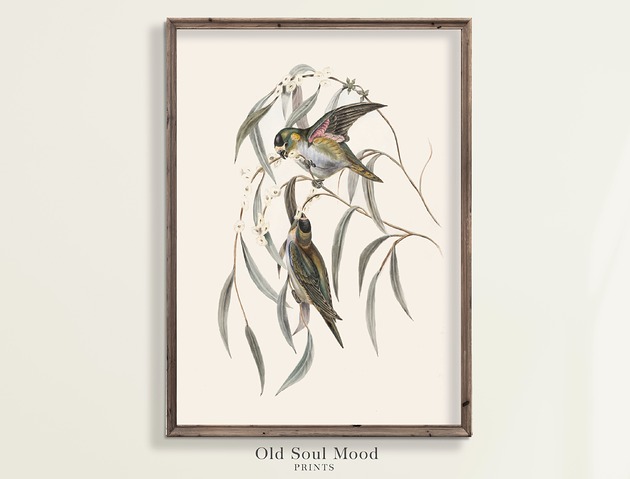 plakaty Plakat / Obraz na płótnie Ptaszki