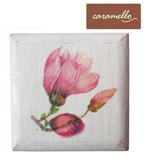 Obrazek Sen o Magnoliach caramello