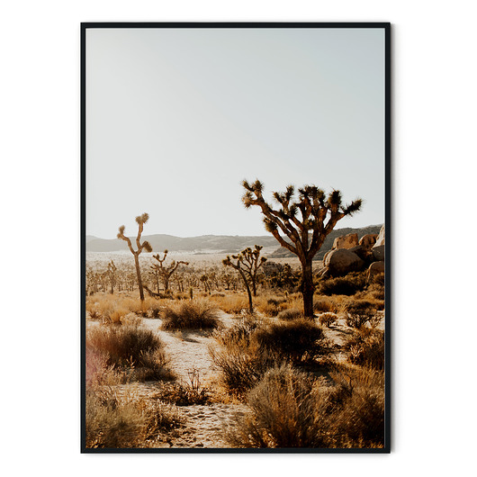 Plakat skandynawski Joshua Tree no. 2 myscandi
