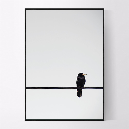 Plakat BIRD NO.2 40x50 CM MUKKO
