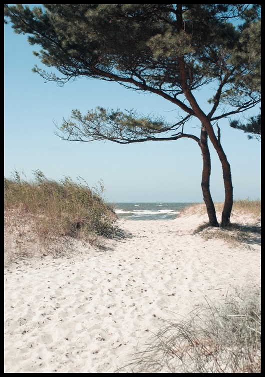 plakaty Plakat "Piaszczysta ścieżka na plażę"