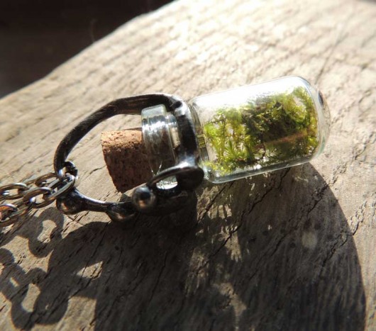 wisiory moss... mini