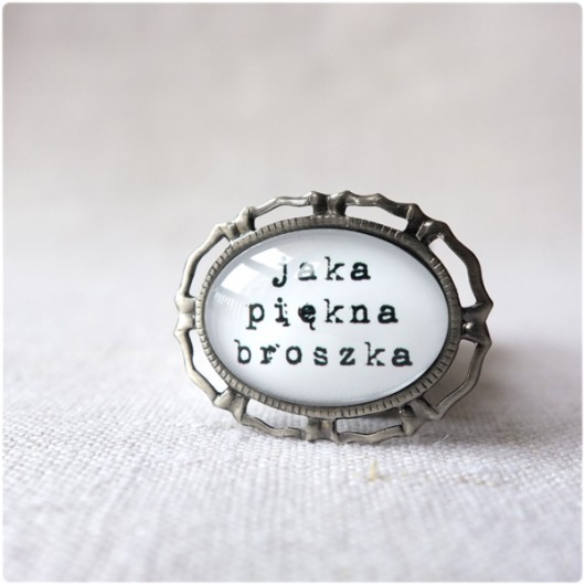 jaka piękna broszka s kameLeonia