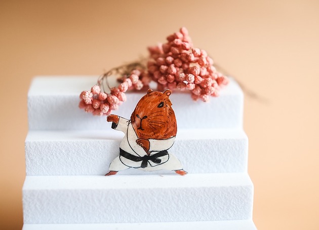 broszki Broszka KapiBrusliii karate miszcz