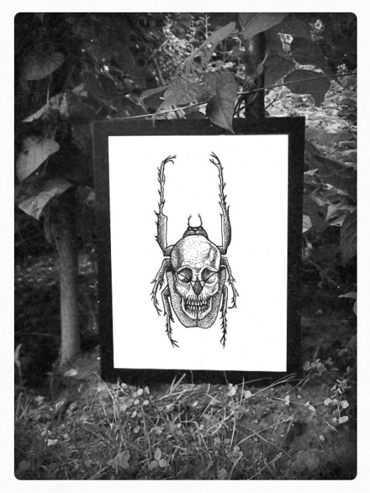 Mr.Beetle 2 karolina pepino wska