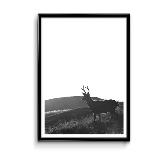 Plakat Jelonek 50x70 Bury Lis