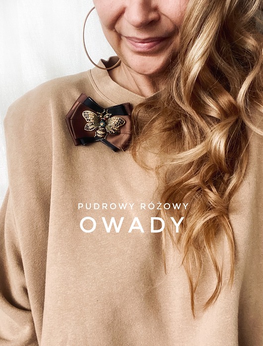 broszki Brosza z cudnym Owadem z kryształków New Jesień