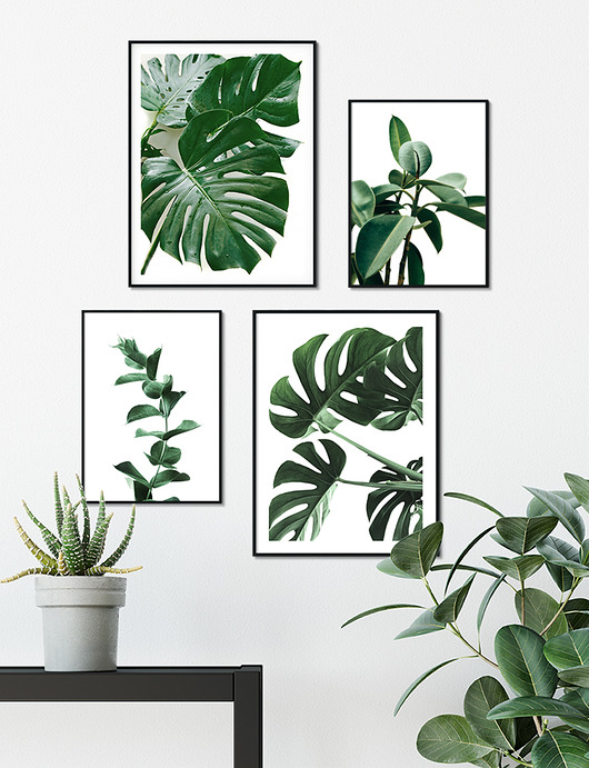 plakaty Zestaw plakatów Botanicznych