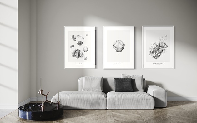 plakaty Plakat Muszle - Komplet 3 wydruków